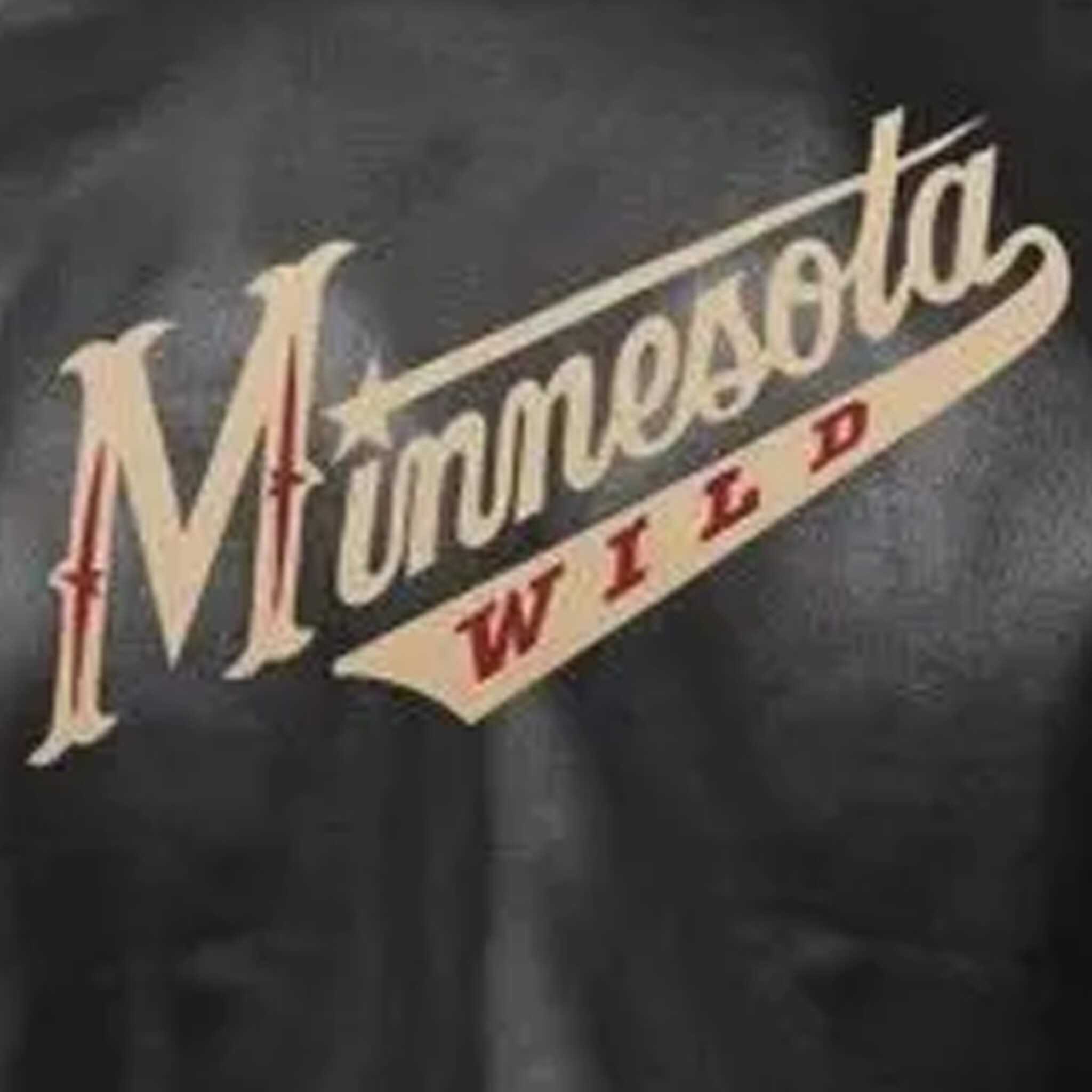 Minnesota Wild Black Leather Varsity Jacket - Classic Style
